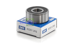 180501 (62201 2RS) DPI