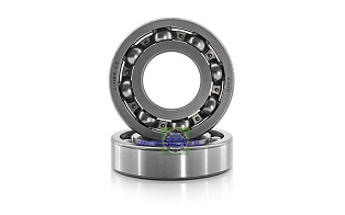 309 C3 (6309 C3) CODEX