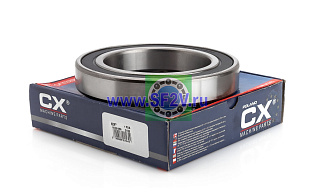 180122 (6022 2RS) CX