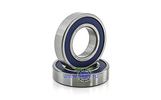 180209 (6209 2RS) АПП