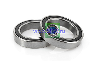 1000805 SS 2RS (61805 SS 2RS) MTM