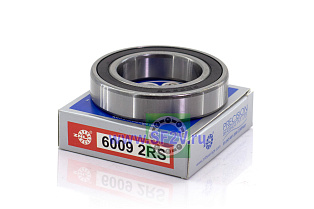 180109 (6009 2RS) ZNL