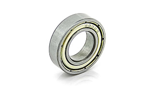 1000800 ZZ (61800 ZZ) DPI