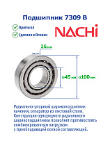 7309 B NACHI