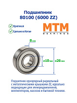 80100 (6000 ZZ) MTM