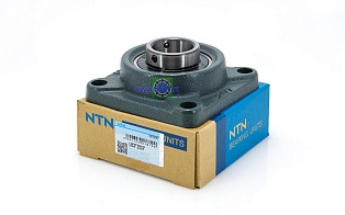 UCF 207 NTN