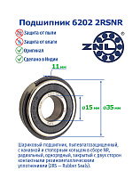 6202 2RSNR ZNL