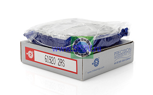 1000920 2RS (61920 2RS) ZNL