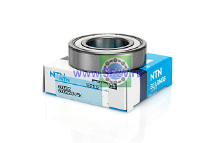 6005 ZZCM/5K NTN