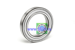 6017 ZZ SKF