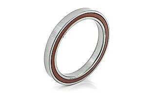 1000810 2RS (61810 2RS) CRAFT