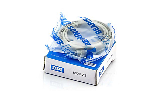 1000805 ZZ (61805 ZZ) DPI