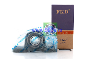 UCP 307 FKD