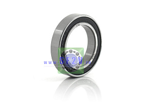 1000803 2RS (61803 2RS) ZNL