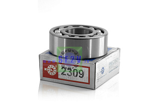 1609 (2309) ZNL