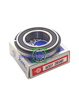 6007 2RSNR ZNL