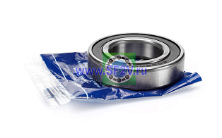 180106 (6006 2RS) ZNL