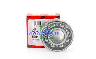 6204 FAG