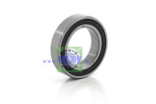 1000804 2RS (61804 2RS) ZNL