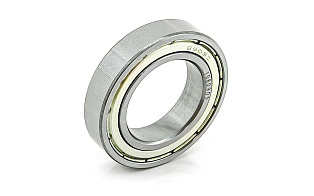 1000905 ZZ (61905/6905 ZZ) NTRL