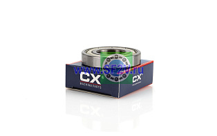 16004 ZZ (7000104 ZZ) CX