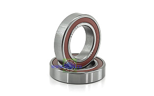 1000905 2RS (61905/6905 2RS) CRAFT