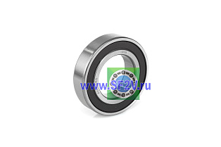 180106 (6006 2RS) NFC