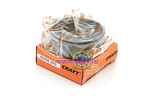 180506 (62206 2RS) CRAFT