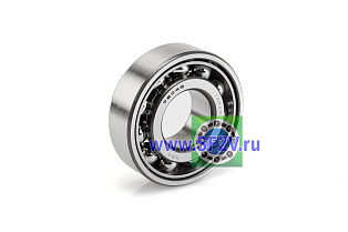 7204 BW NSK