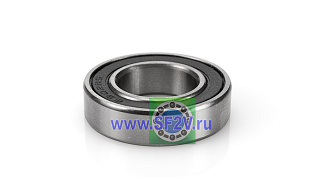 1000902 2RS (61902 2RS) ZNL