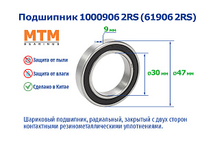 1000800 SS 2RS (61800 SS 2RS) MTM