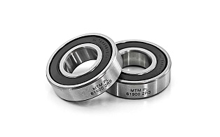 1000900 2RS (61900 2RS) MTM