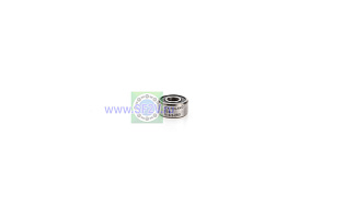 1000092 2RS (619/2 2RS) CX