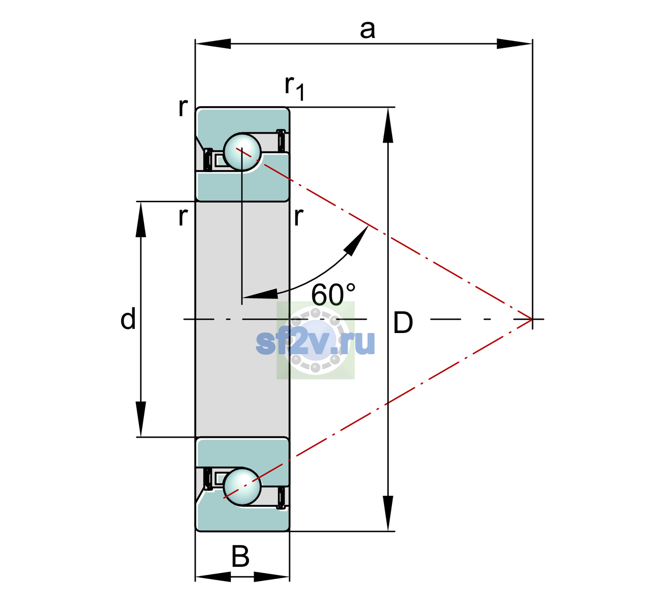 Схема подшипника BSB2562-2Z-SU-XL