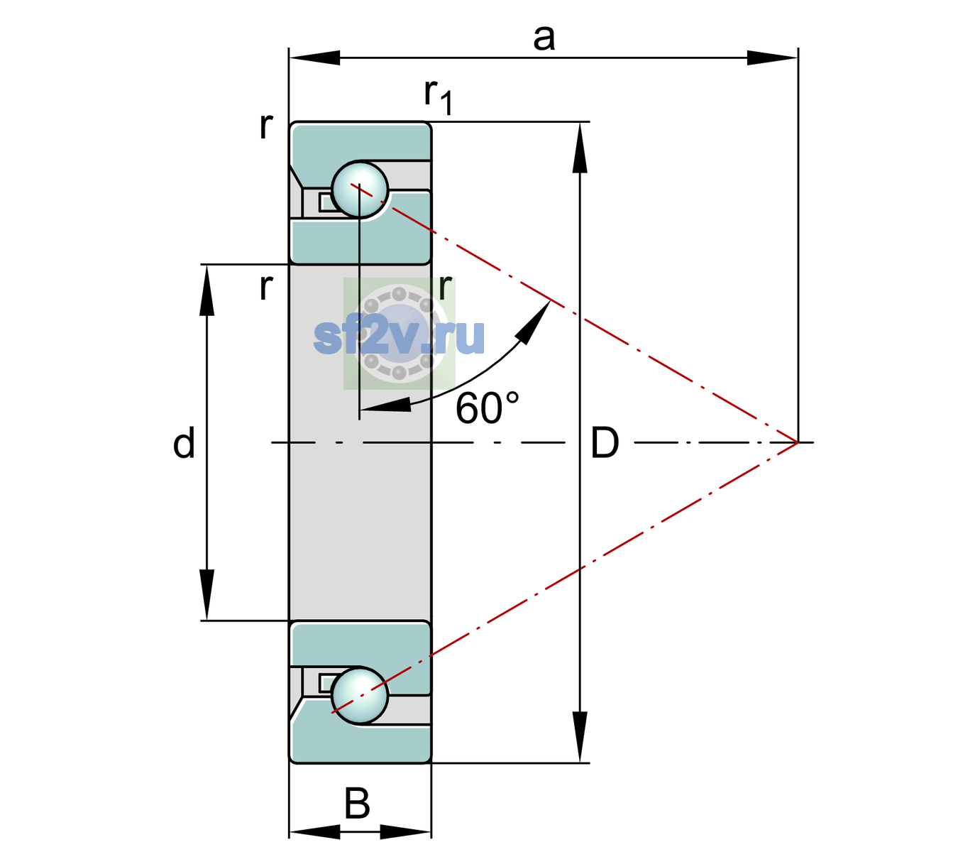 Схема подшипника BSB3062-SU-XL-L055