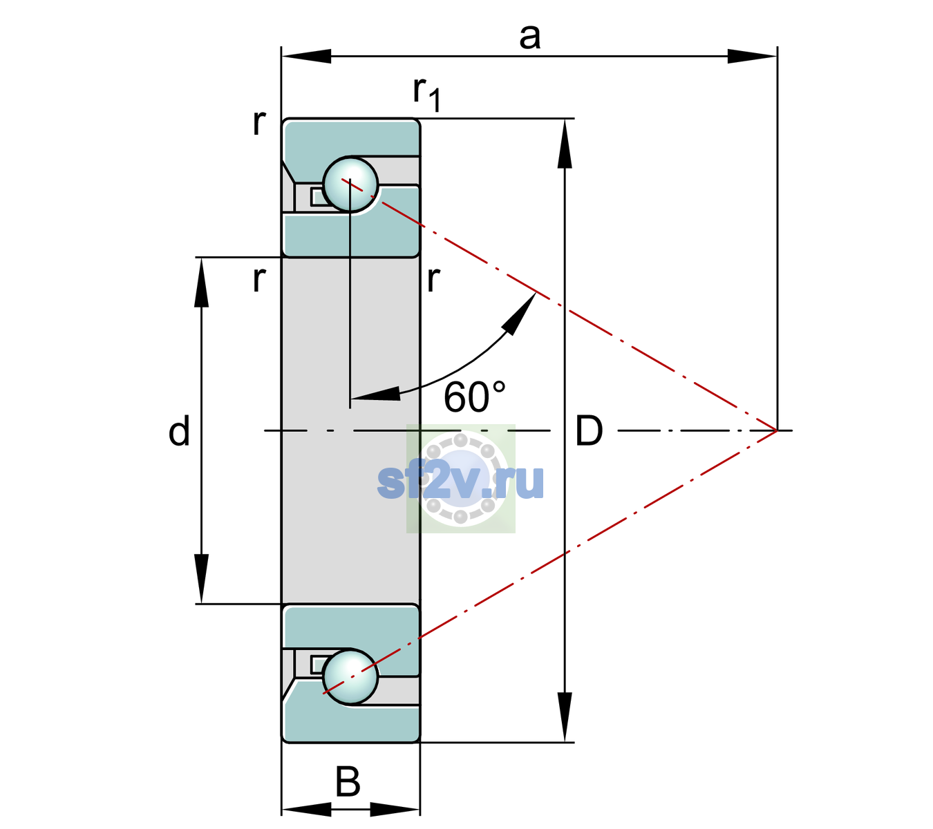 Схема подшипника BSB50100-SU-XL
