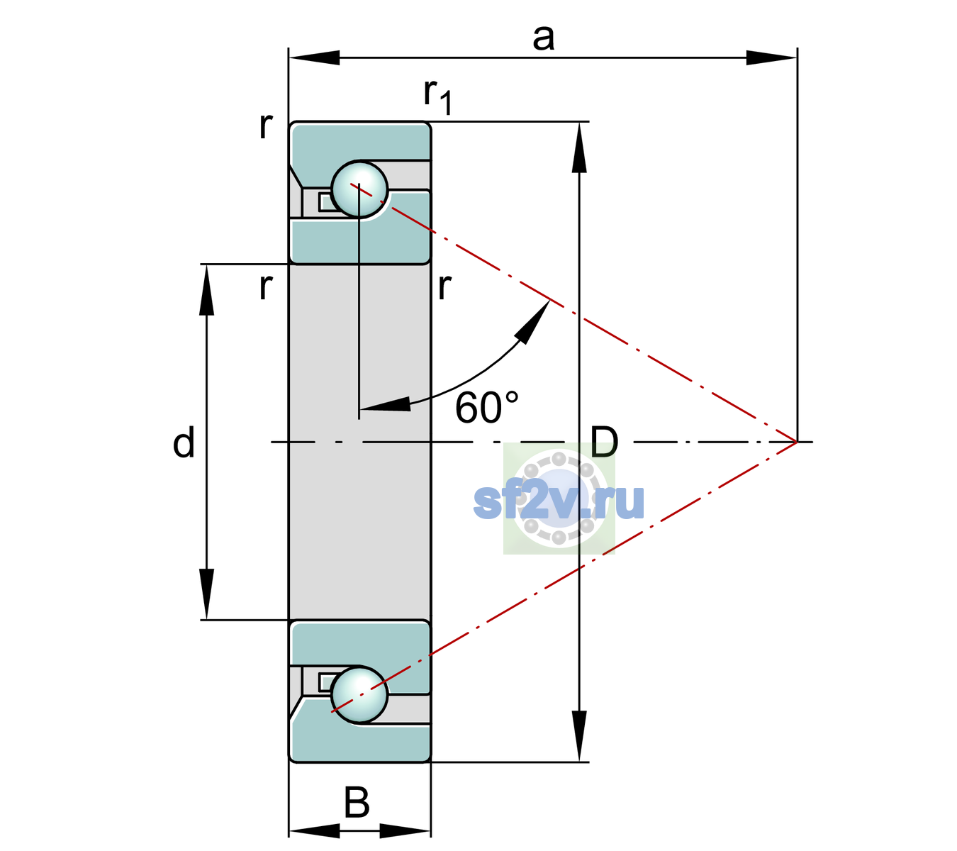 Схема подшипника BSB50100-SU-XL-L055