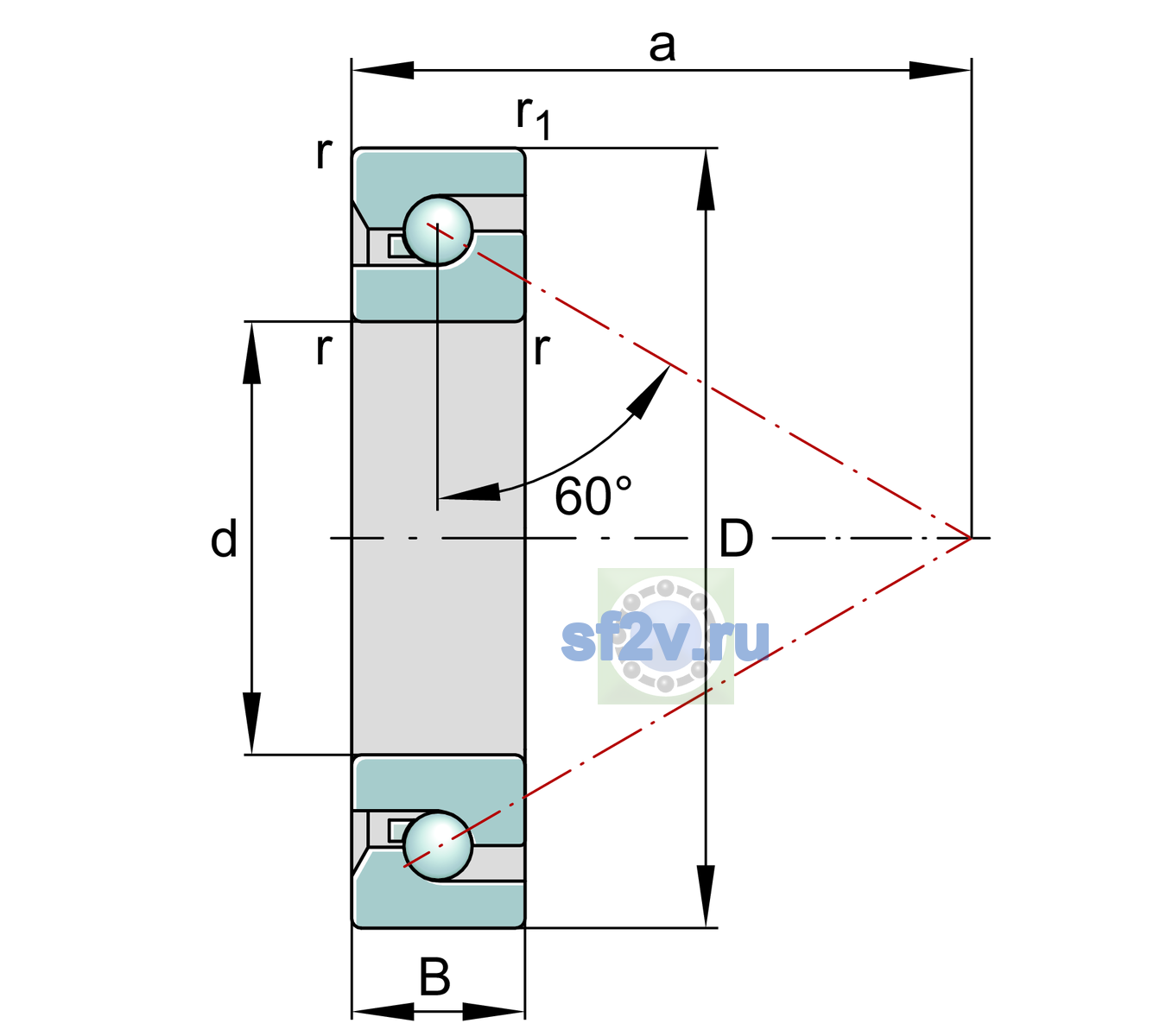 Схема подшипника BSB60120-SU-XL-L055