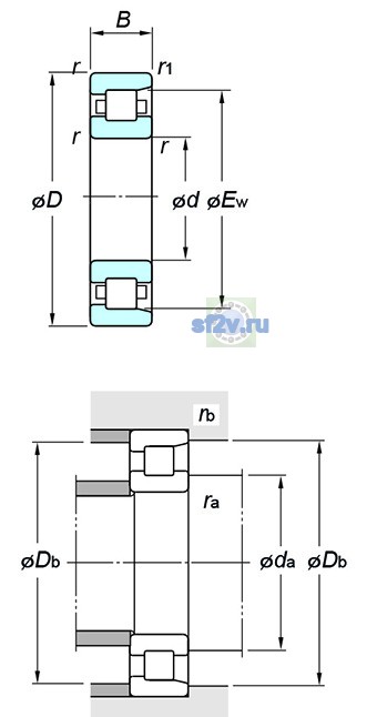 Фото подшипника NF305