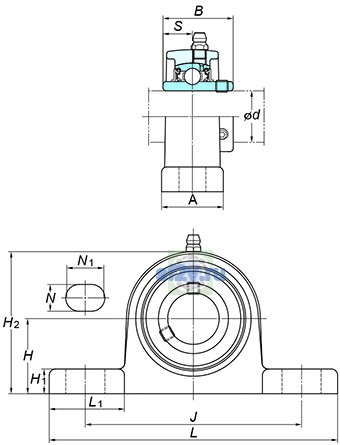 Фото подшипника UCSP203XS6